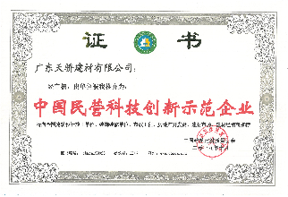 中国民营科技创新示范企业