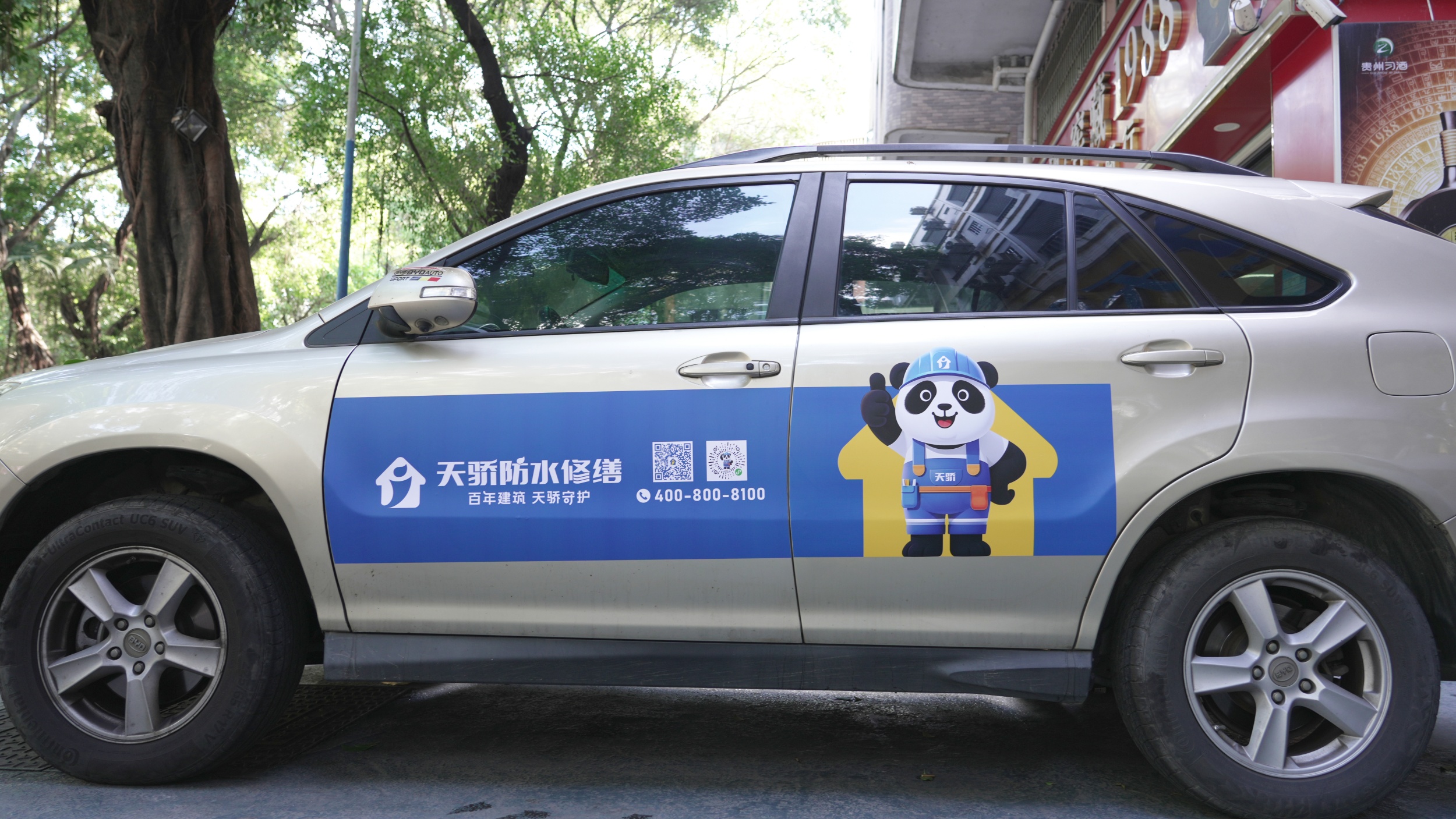 DSC00328-副本 DSC00328-副本